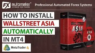 How to install WallStreet ASIA using automatic installer