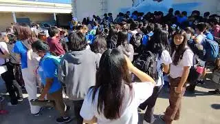 an example of a perfect single file line