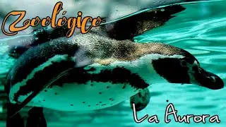 Zoológico La Aurora / Guatemala