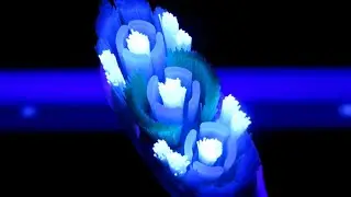 ASÍ SE VEN ESTOS OBJETOS BAJO LA LUZ ULTRAVIOLETA