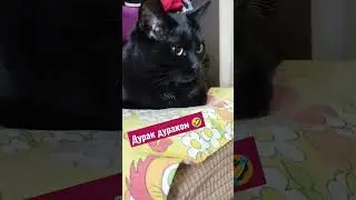 Прикольная озвучка 🤣