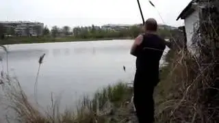 Кот на охоте