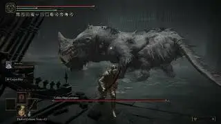 Golden Hippopotamus Boss Fight  Elden ring Shadow of the erdtree! dlc