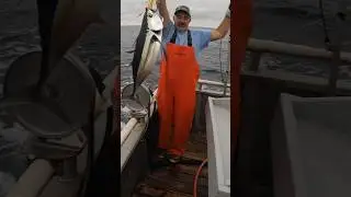 Offshore Tuna Fishing T SHIRT WEATHER #yakventures #offshorefishing #albacore #tuna