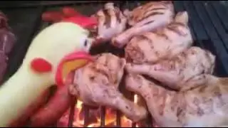 курица в шоке