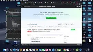 flutter upgrade to use 