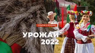 Урожай 2022. Новополоцк