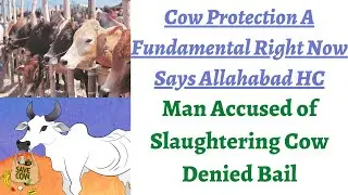 Cow Slaughtering should be banned in India says Allahabad High Court, Cow protection a Fund. Right