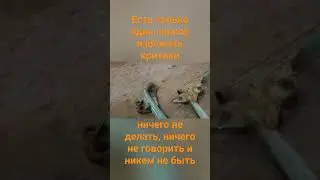 Есть только один способ избежать критики. Иж Мотивация