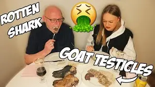 Eating TRADITIONAL ICELANDIC food