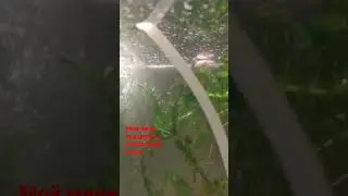 Мини аквариум.