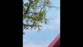 IG Reel: Sala Hospitality (Main Pool and Aerial)