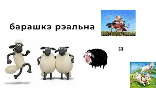 ТОП 5 барашкЭ