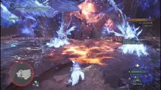 Monster Hunter: World blue eyes white dragon in action bowgun feet gank