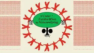 The Vernon Spring - Requiem For Reem