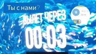КЛИЕНТЫ ИДУТ САМИ