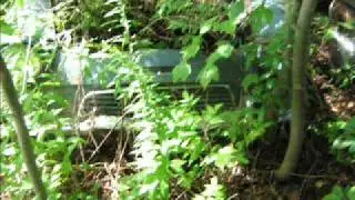 junkyard tour -morisette auto parts(part 1)