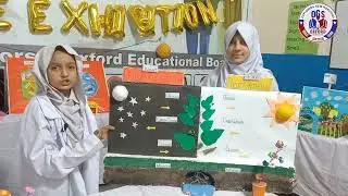 photosynthesis | Oxford Grammar school Shahdara town campus