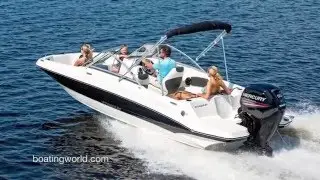 Stingray 191DC
