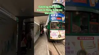 Catching the oldest tram in Hong Kong on the road #automobile #tram