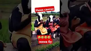 #нимабу #top #dance #dancechoreography #avto #love #dancemoves #xamdamsobirov #shortsdance #music