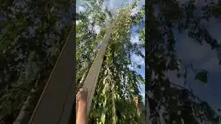 Модульные бани Фокс хаус 