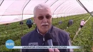 Lavoratori stagionali agricoltura