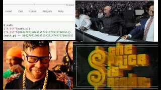 Pi is Rational - Reactions