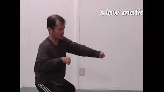 Тайцзицюань (ударная техника Тайцзи)