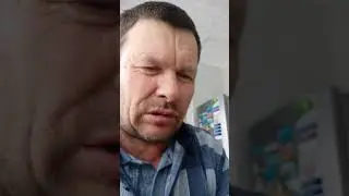 как посеять старые семена томатов