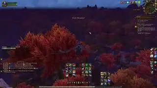 BFA Pet Battles Stream