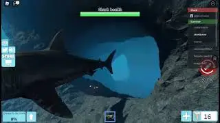 sharkbite