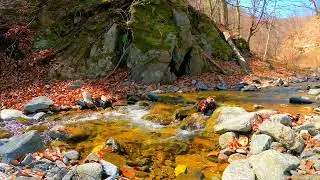 Beautiful Relaxing Piano Music, Soothing Relaxation, Sleep Music