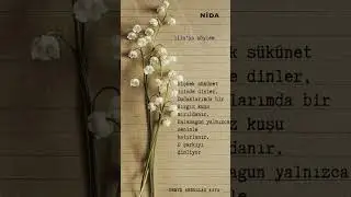 Ubeyd Abdullah Kaya | lila'ya söylem