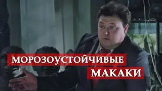 Морозоустойчивые макаки (из к/ф 