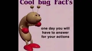 Cool bug facts!