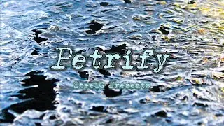 Petrify - SteelG