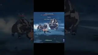 [Genshin Impact] Raging Boar 
