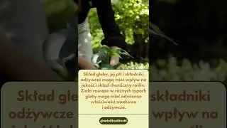 Dlaczego te same zioła z roznych stron swiata sa inne ? 