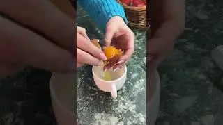 19 марта 2024 г.