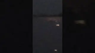 Красивая речка 😍 