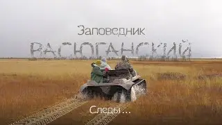 Васюганский. Следы.