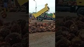 Viraall truck truck skill jumping tercepat #shorts