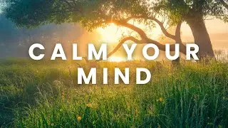 Calm Your Mind in Minutes: Meditation Music for Relaxation
