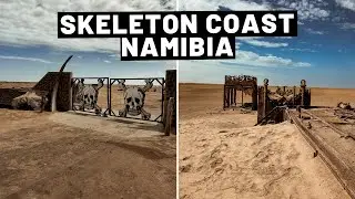 Road Trip Skeleton Coast Namibia | Skeleton Coast, Welwitschia Drive and Cape Cross Seal Colony