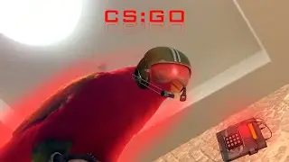 Red birb wuewuewue  in CS:GO