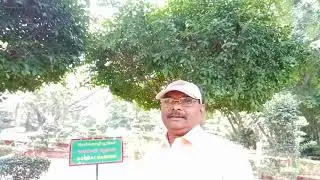 செம்மொழி பூங்கா... சென்னை..