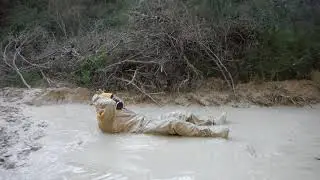 New mud suit, with an extra layer