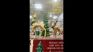 COSTCO and CHRISTMAS ALREADY? | Quick Costco Restock and Christmas Decor #shorts #costco #christmas
