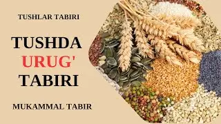 TUSHDA URUG' TABIRI | TUSHDA URUG'NI KO'RISH NIMAGA TABIR BO'LADI?